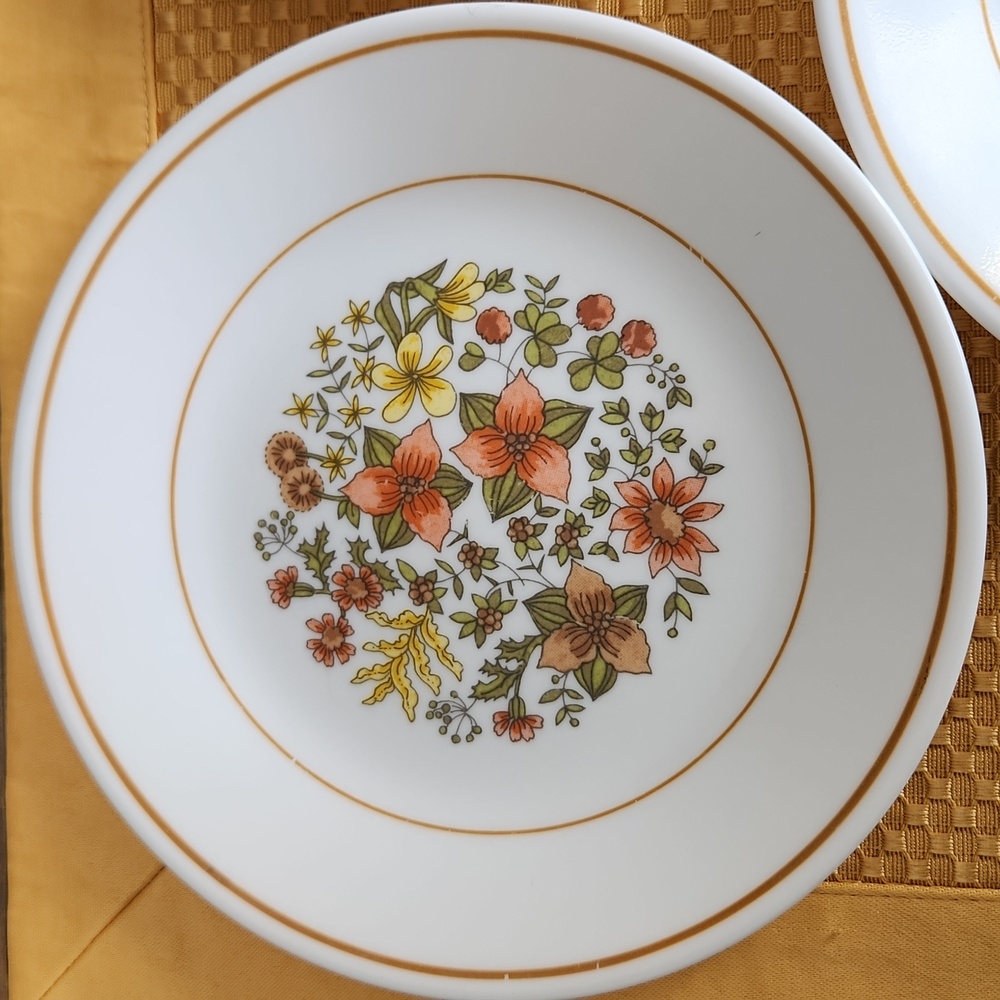 Corelle Corning Indian Summer Bread And Butter Plate Discontinued Pattern set 3